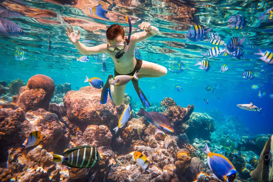 Hurghada: Orange Bay Island Boat Trip w/ Breakfast and Lunch - Lunch on board and the fruit break