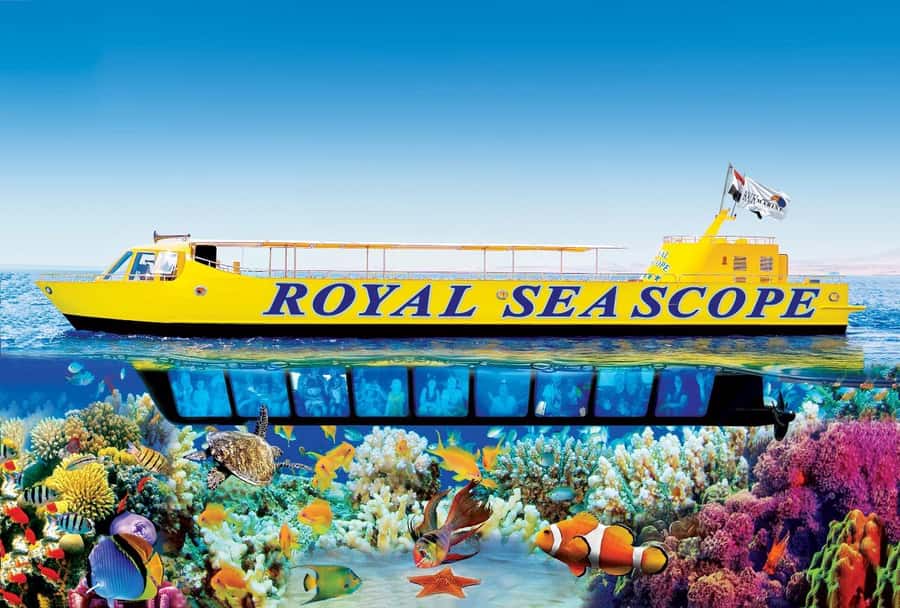 Hurghada: Royal Seascope Submarine Cruise with Snorkel Stop - Key points at a glance