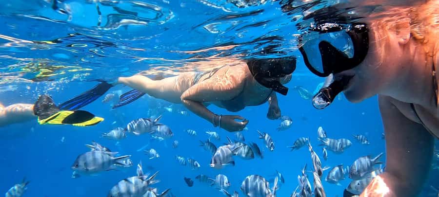 Hurghada: White Island Speedboat Tour, Snorkeling, & Lunch - Food, Shade, and the Ride Back