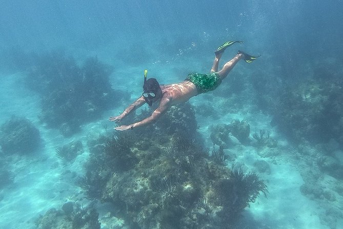 Icacos Deserted Island Catamaran, Snorkel, and Picnic Cruise - Snorkeling can be rewarding, but do not book only for the reef