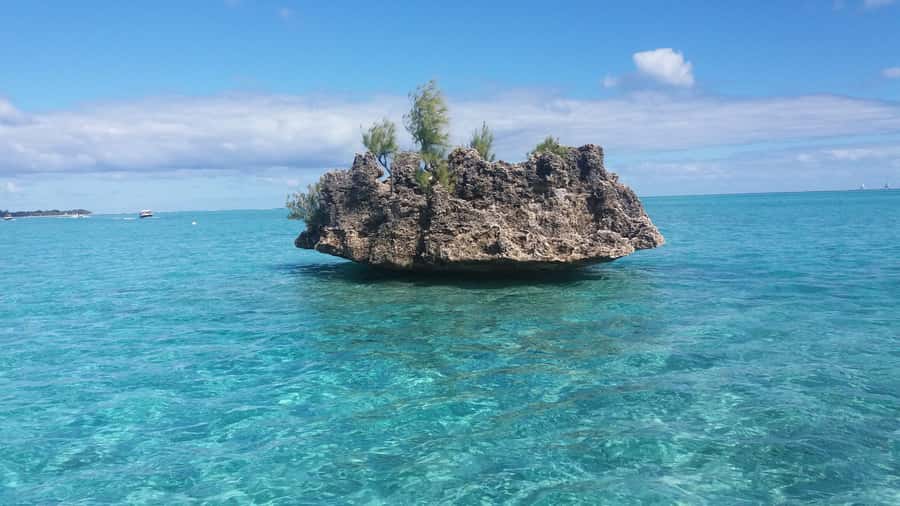 Île aux Bénitiers: Snorkeling w/Dolphins Boat Tour & Lunch - How the seven-hour day really feels