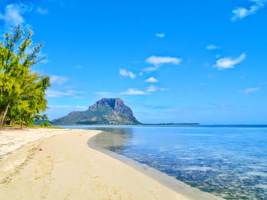 Île aux Bénitiers: Snorkeling w/Dolphins Boat Tour & Lunch - What the price gives you
