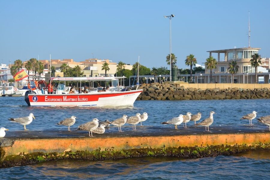 Isla Cristina/Isla Canela: Boat Trip Through the Marshes - Why the sunset departure is worth choosing