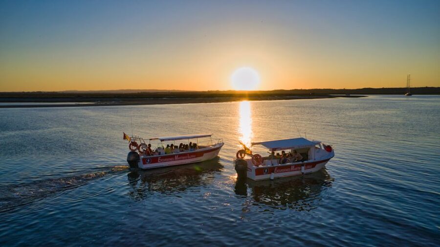Isla Cristina/Isla Canela: Boat Trip Through the Marshes - Language and the quality of the explanation