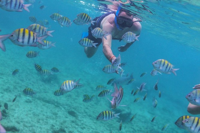 Isla Mujeres Luxury Sailing: Adults Only or Family Friendly - Two hours on Isla Mujeres