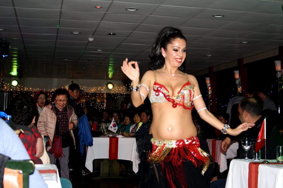 Istanbul: Bosphorus Dinner Cruise Incl. Drinks with Transfer - Service, group size, and language support