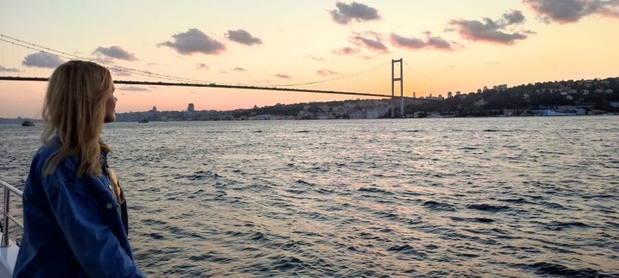 Istanbul: Bosphorus Sunset Cruise on Yacht with Live Guide - The Asian shore, palaces, and wooden houses