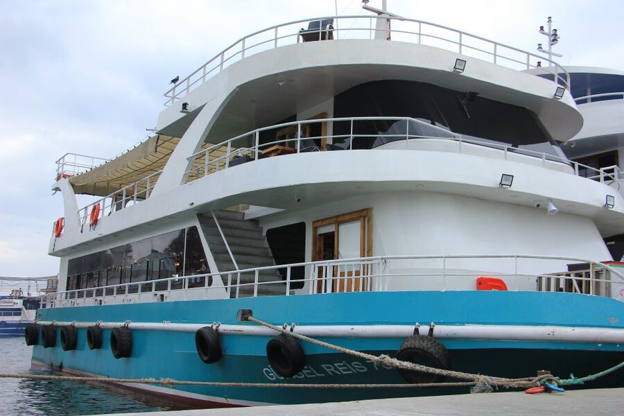Istanbul: Princes' Islands Cruise w/Music, Lunch & Transfer - Büyükada and its mansion-lined streets
