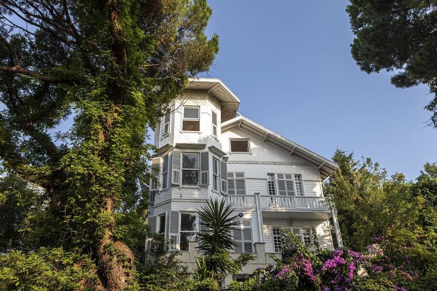 Istanbul: Princes' Islands Cruise w/Music, Lunch & Transfer - Swimming and beach time away from the city