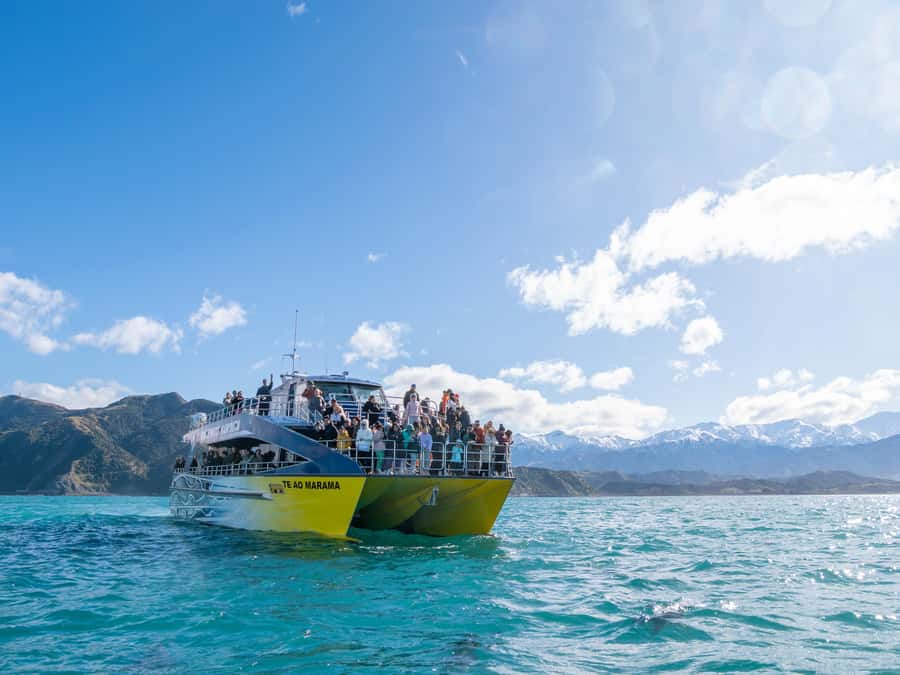 Kaikoura: Whale Watching Cruise - Quick takeaways from the Kaikoura cruise