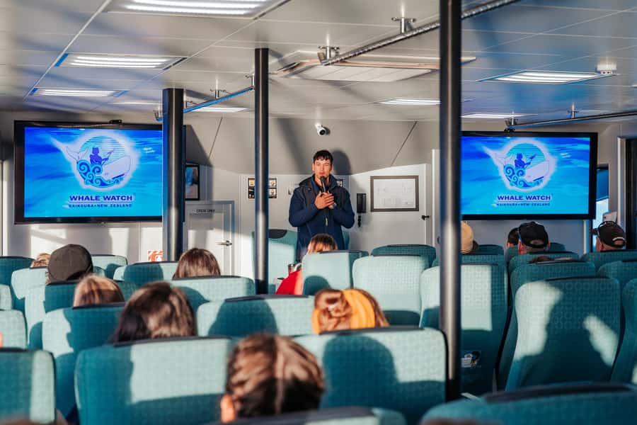 Kaikoura: Whale Watching Cruise - Why Kaikoura is such a good place for whale watching