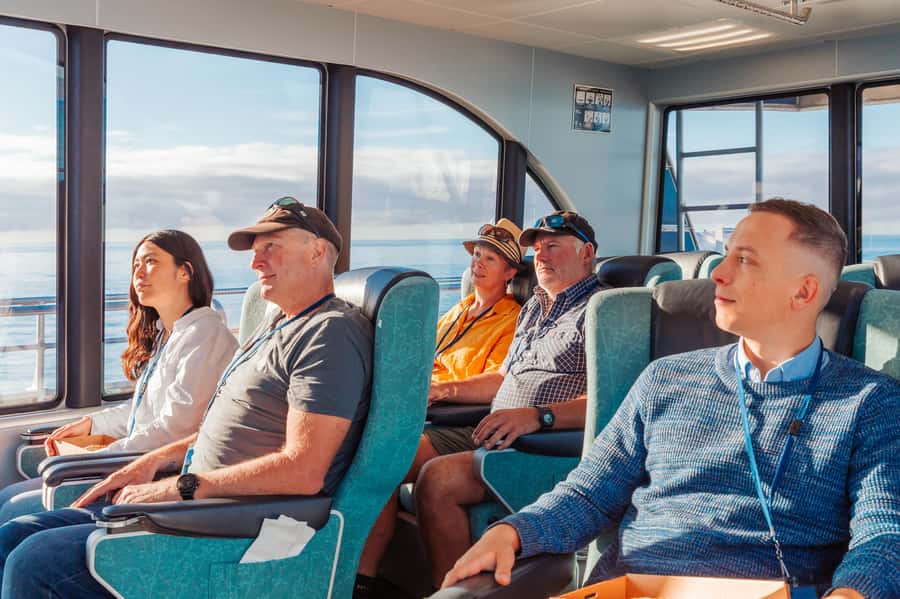 Kaikoura: Whale Watching Cruise - What the rough water means for you