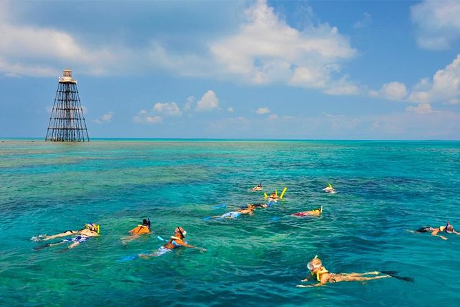 Key West Afternoon Snorkel Sail with Unlimited Cocktails! - Snorkeling in America’s only living coral barrier reef