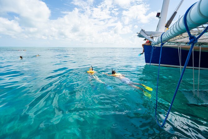 Key West Afternoon Snorkel Sail with Unlimited Cocktails! - Drinks after snorkeling, not before
