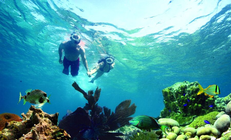 Key West: Dolphin Watching and Snorkeling Eco Cruise Tour - What the $79 trip actually gives you