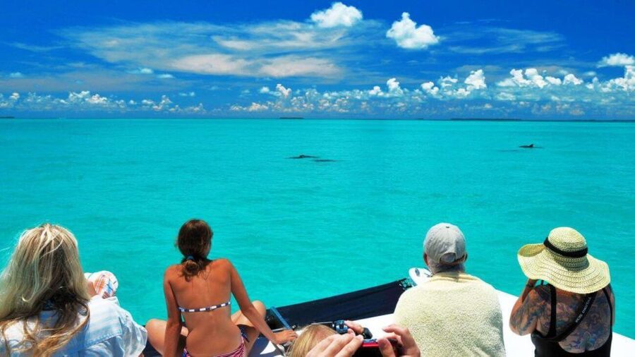 Key West: Dolphin Watching and Snorkeling Eco Cruise Tour - The 45-foot catamaran ride into Gulf waters