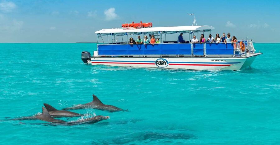 Key West: Dolphin Watching and Snorkeling Eco Cruise Tour - Watching bottlenose dolphins without chasing them