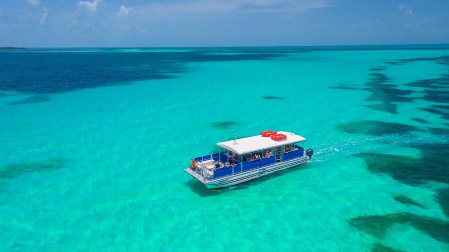 Key West: Dolphin Watching and Snorkeling Eco Cruise Tour - Drinks, shade, and the return to Key West
