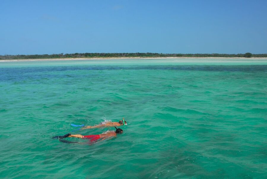 Key West: Dolphin Watching and Snorkeling Eco Cruise Tour - Who will enjoy this most
