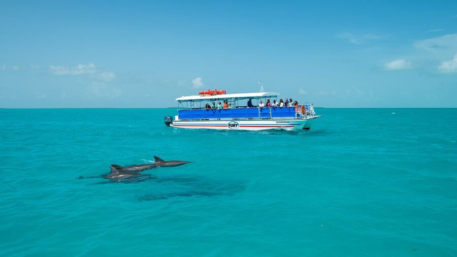 Key West: Dolphin Watching and Snorkeling Eco Cruise Tour - Should you book this Key West eco cruise?
