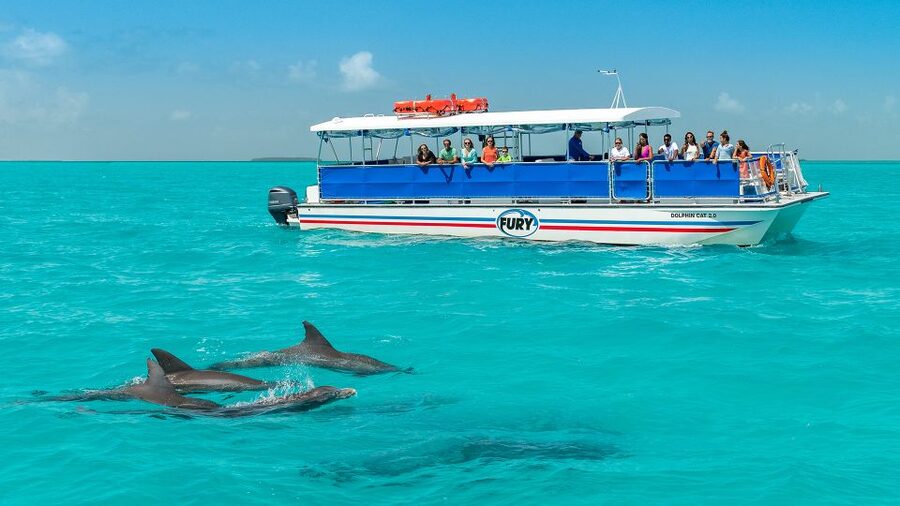 Key West: Dolphin Watching and Snorkeling Eco Cruise Tour - Starting at Captain’s Corner and the Fury kiosk