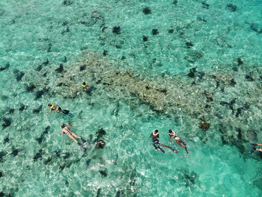 Key West: Dolphin Watching and Snorkeling Sunset Cruise - A three-hour Key West trip with two very different moods