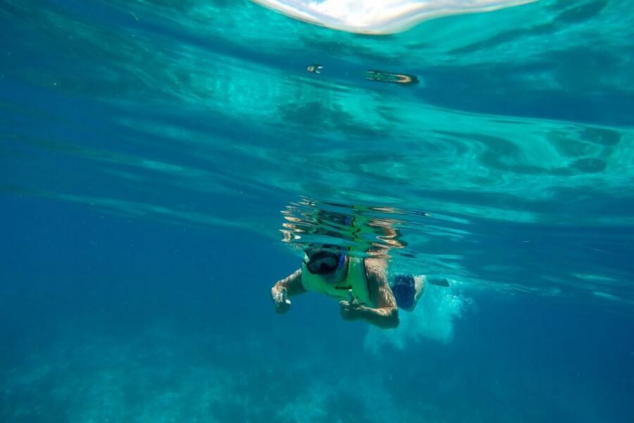 Key West: Dolphin Watching and Snorkeling Sunset Cruise - What the snorkeling is really like