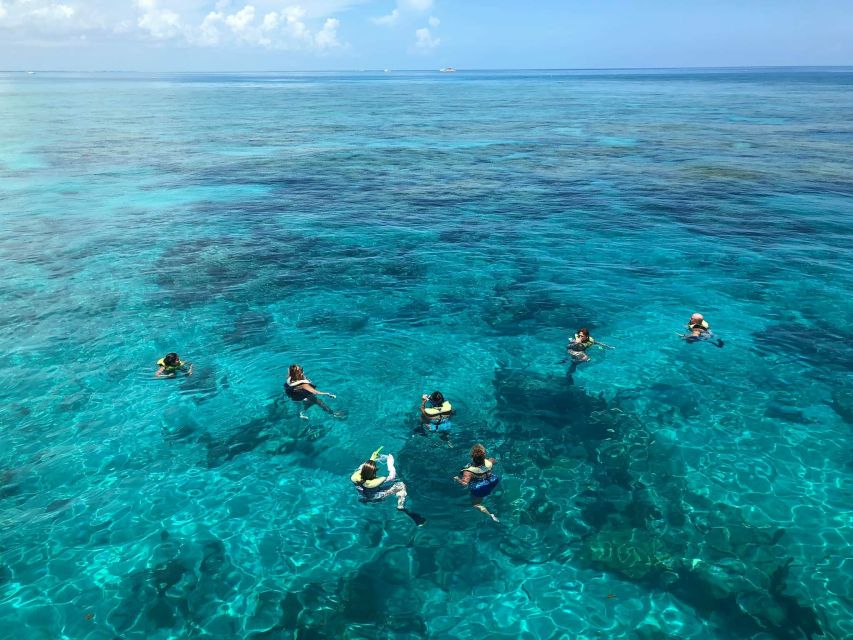 Key West: Dolphin Watching and Snorkeling Sunset Cruise - Who will enjoy this trip most?