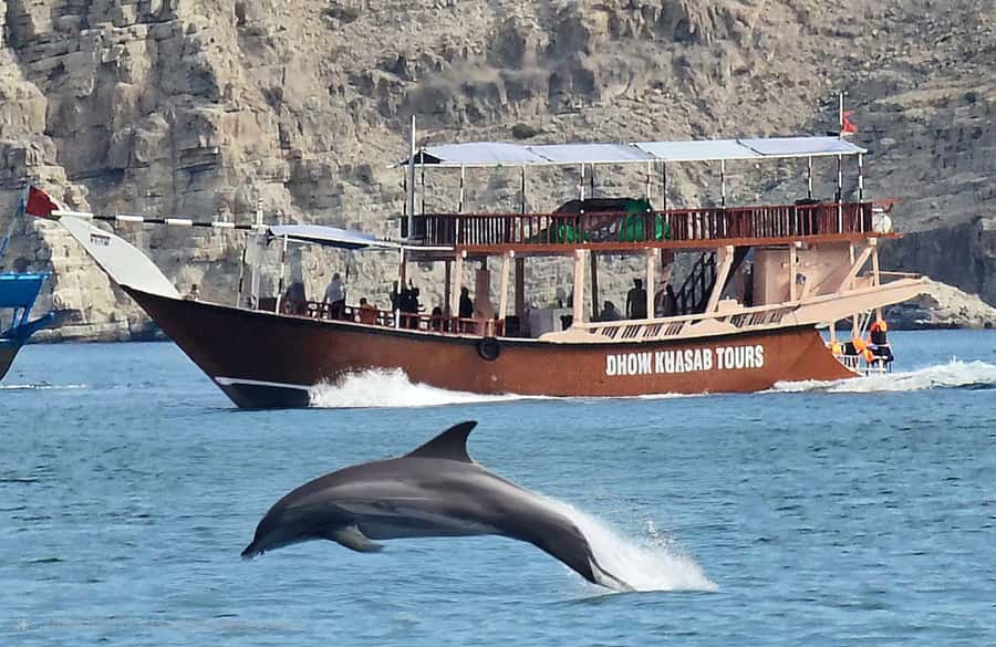 Khasab: Half-Day Dhow Cruise, Dolphin Watching, & Snorkeling - Why the Khasab fjords make this cruise special