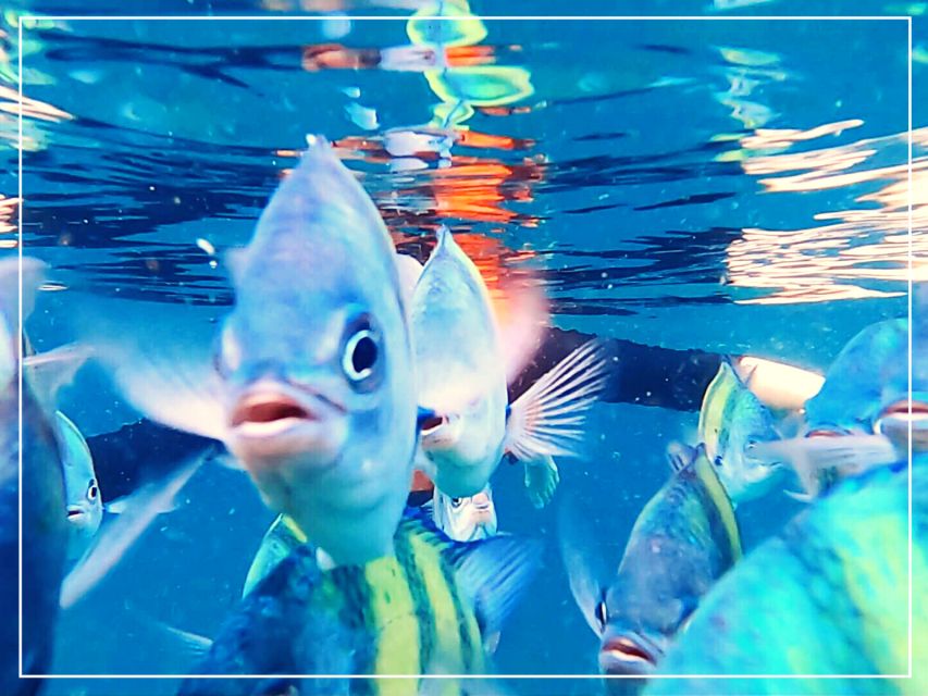 Ko Lanta: 4 Islands Snorkeling Tour by Longtail Boat - Koh Ngai supplies the best pause of the day