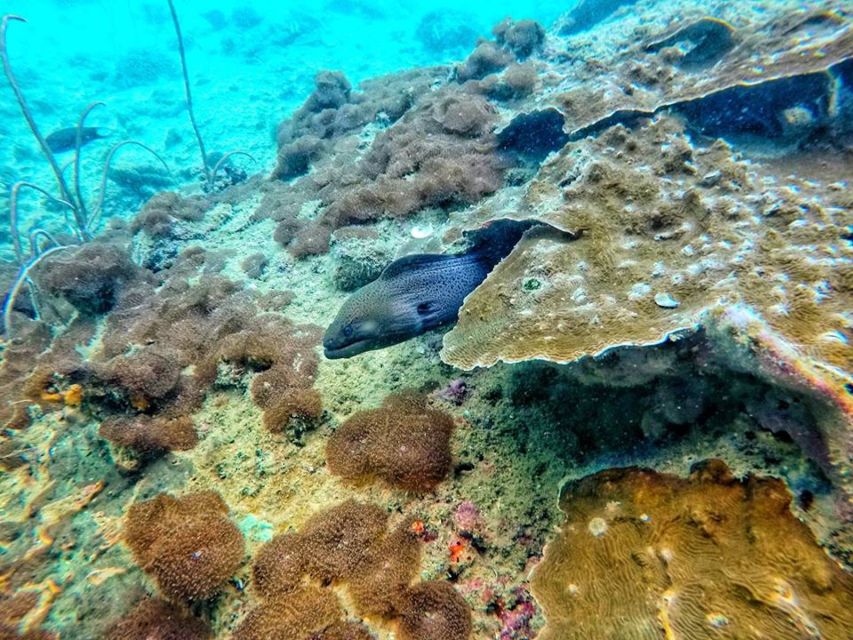 Ko Lanta: 4 Islands Snorkeling Tour by Longtail Boat - Your morning begins with an early hotel pickup