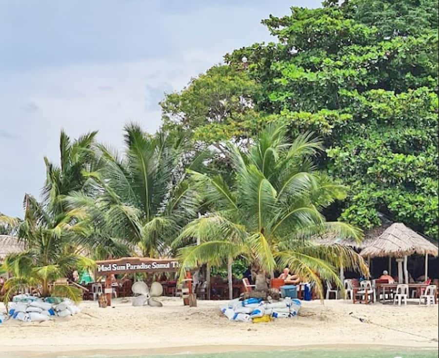 Ko Samui: Pig Island Snorkeling and Koh Tan Speedboat Tour - Morning or afternoon departure?