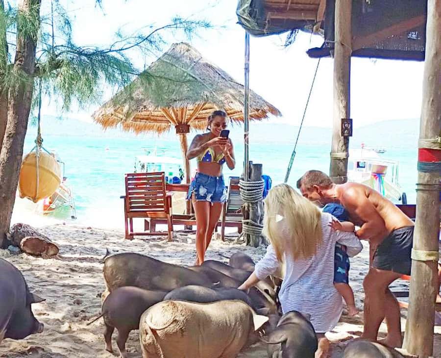Ko Samui: Pig Island Snorkeling and Koh Tan Speedboat Tour - What is included, and what is not