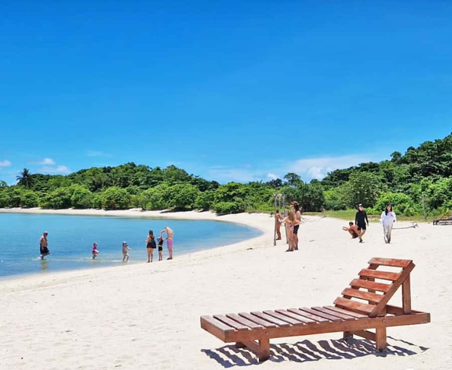 Ko Samui: Pig Island Snorkeling and Koh Tan Speedboat Tour - Who will enjoy this tour most?