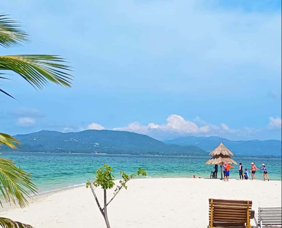Ko Samui: Pig Island Snorkeling and Koh Tan Speedboat Tour - Practical tips for a better day