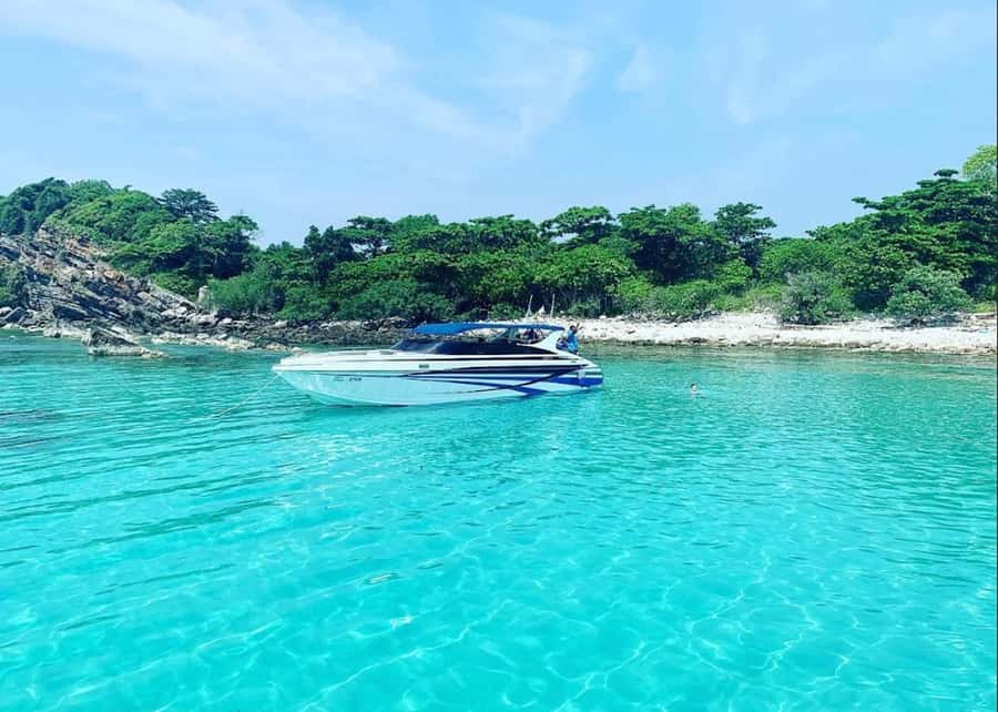 Ko Samui: Pig Island Snorkeling and Koh Tan Speedboat Tour - The Koh Tan snorkeling stop