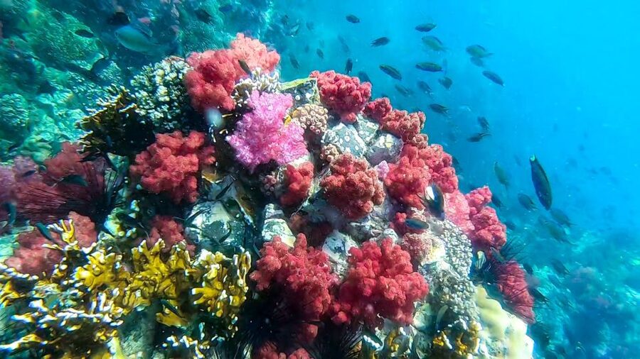 Koh Lipe: Longtail Boat Snorkeling Trip Program A - Boat comfort, safety, and sea conditions