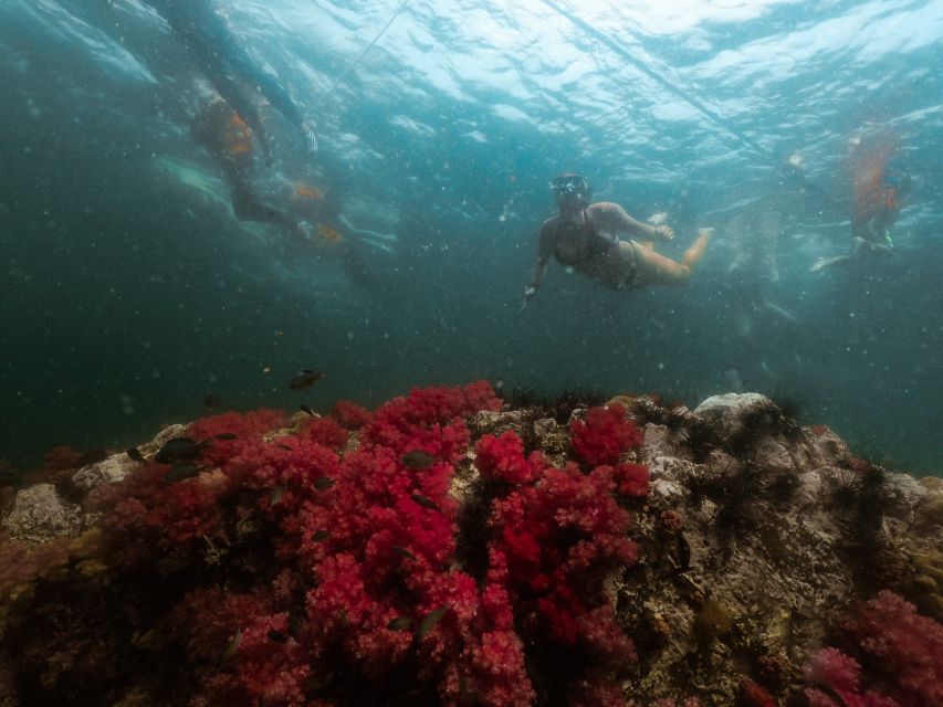 Koh Lipe: Longtail Boat Snorkeling Trip Program A - A full day around Koh Lipe’s inner islands