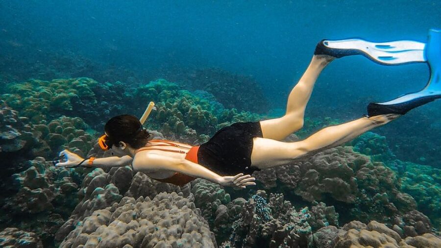 Koh Lipe: Longtail Boat Snorkeling Trip Program A - Hin Ngam’s black stones and wet shine