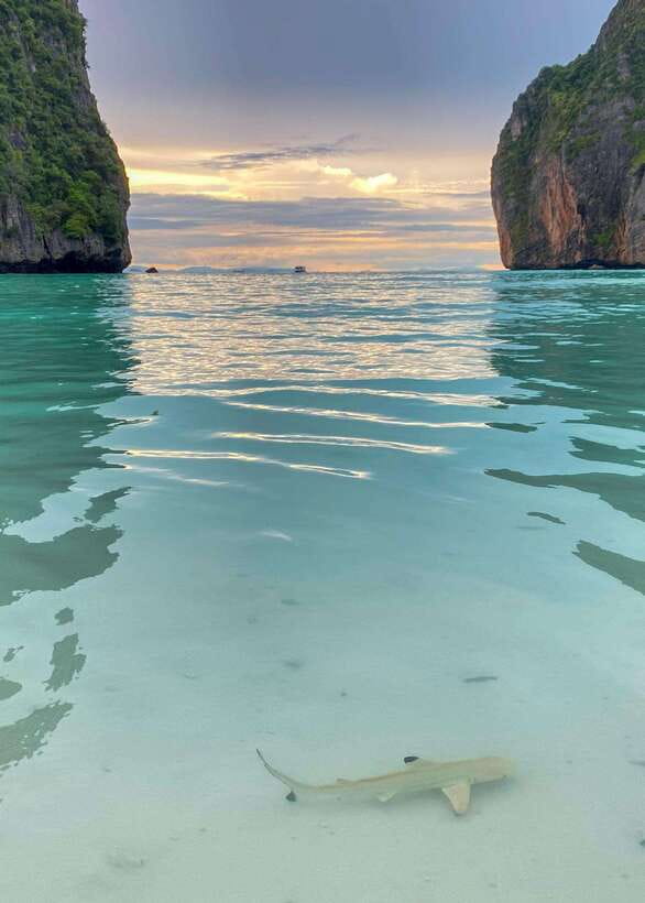 Koh Phi Phi: Maya Bay Private Longtail Boat Tour - Key points at a glance