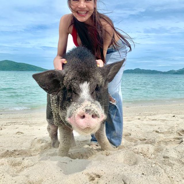 Koh Samui: Pig Island & Koh Tan Snorkeling by Speed boat - What the $52 price really covers