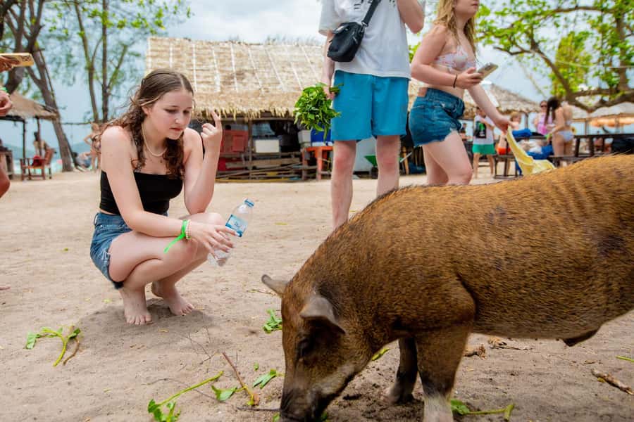 Koh Samui: Pink Dolphin Spotting & Pig Island Speedboat Tour - Who will enjoy this day most?
