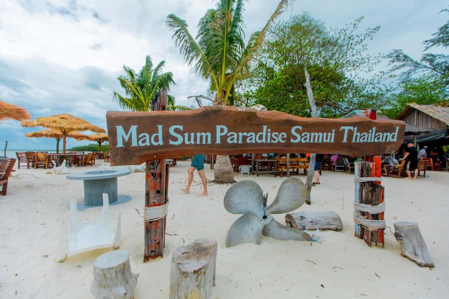 Koh Samui: Pink Dolphin Spotting & Pig Island Speedboat Tour - Searching the Gulf from a speedboat