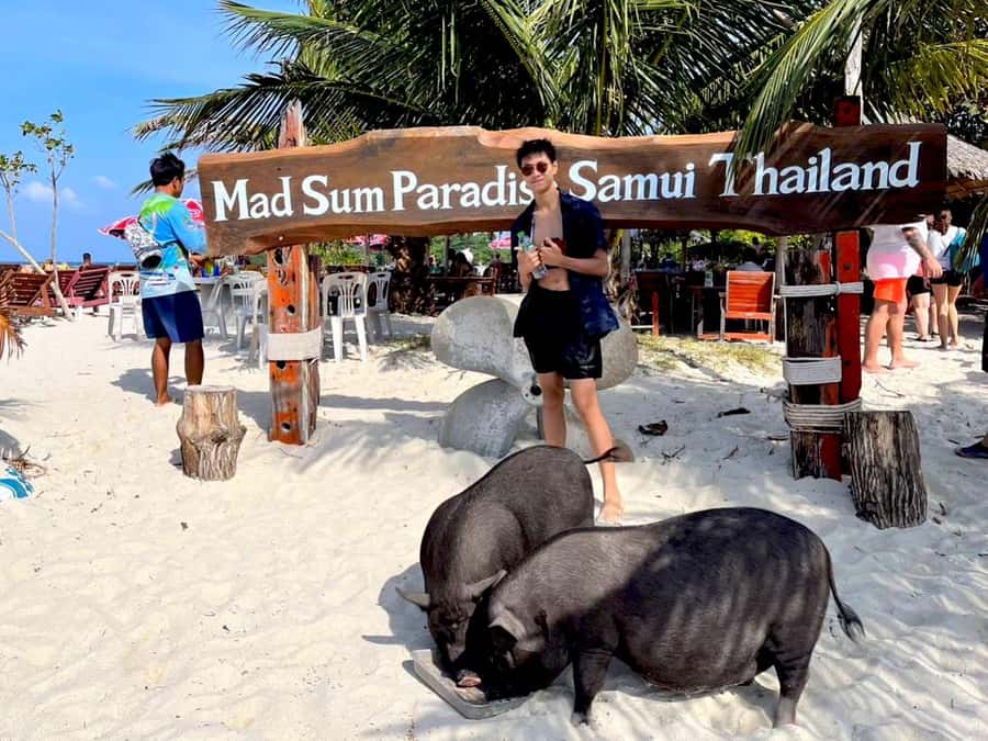 Koh Samui: Private Longtail Boat to Pig Island with Snorkel - What to bring and what to expect