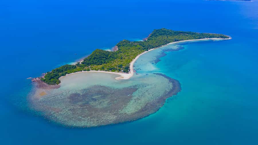 Koh Samui: Private Longtail Boat to Pig Island with Snorkel - Starting at Thong Krut Pier