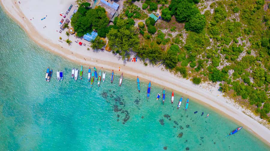 Koh Samui: Private Longtail Boat to Pig Island with Snorkel - How the price compares with the experience