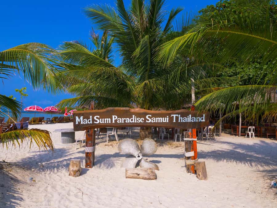 Koh Samui: Private Longtail Boat to Pig Island with Snorkel - Who will enjoy this boat trip