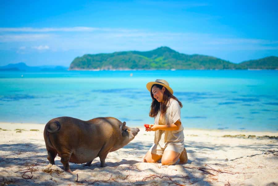 Koh Samui: Private Longtail Boat to Pig Island with Snorkel - The longtail ride to the islands