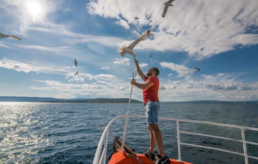 Krk: Golden Beach and Blue Cave Cruise with Welcome Drink - Who should book this Krk cruise?