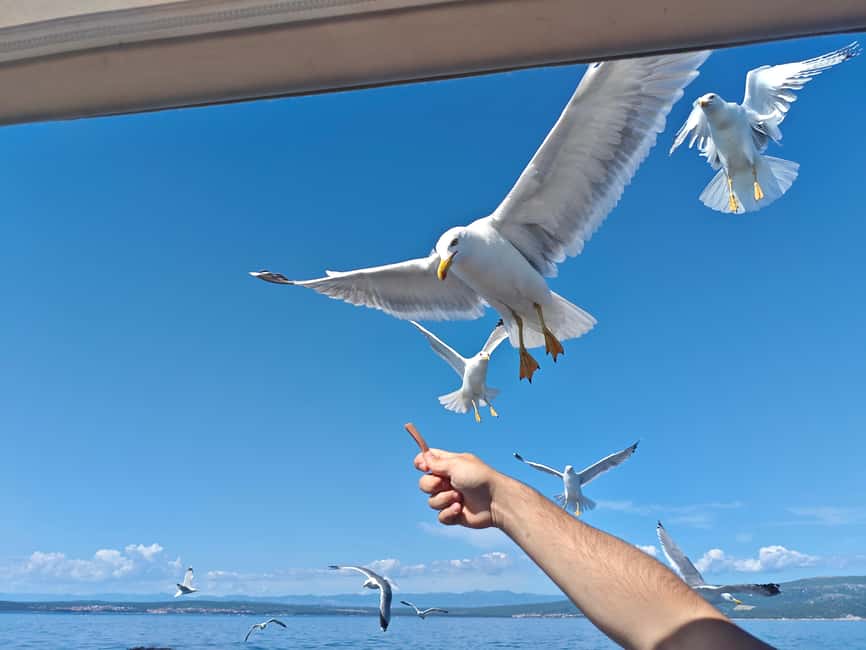 Krk: Golden Beach and Blue Cave Cruise with Welcome Drink - Practical details that affect your day